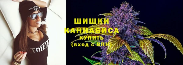 дживик Козловка
