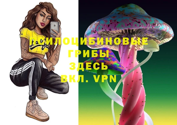 твердый Кодинск