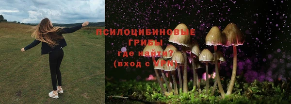 дживик Козловка
