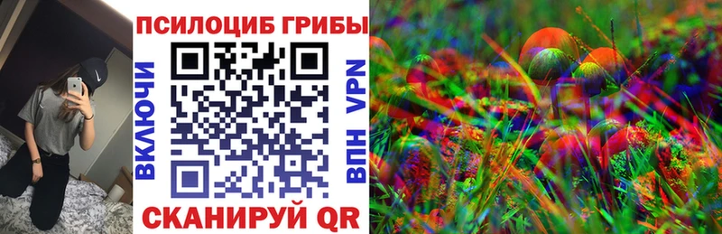 Псилоцибиновые грибы GOLDEN TEACHER  Купить закладки  Луховицы 